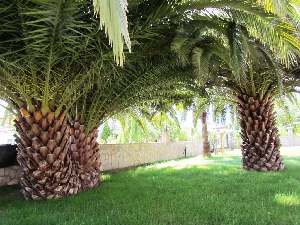 Dalyan Palmiye Resort Hotel Eksteriør billede