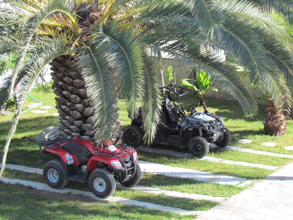 Dalyan Palmiye Resort Hotel Eksteriør billede