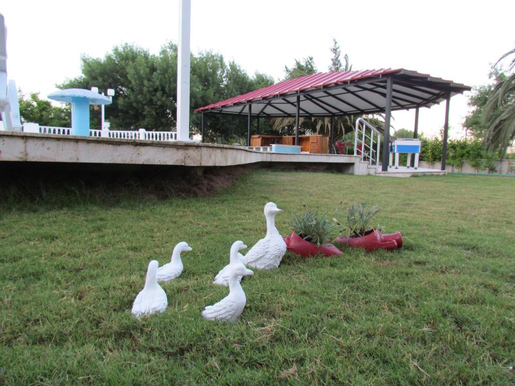 Dalyan Palmiye Resort Hotel Eksteriør billede