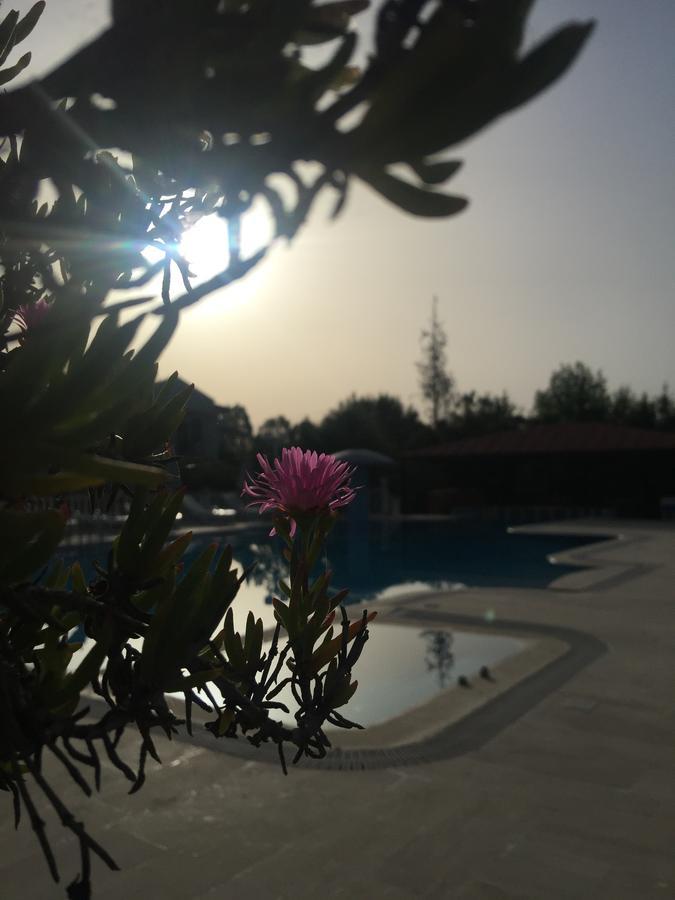 Dalyan Palmiye Resort Hotel Eksteriør billede