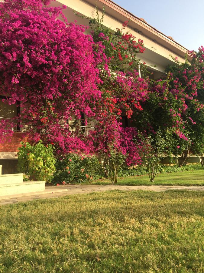 Dalyan Palmiye Resort Hotel Eksteriør billede